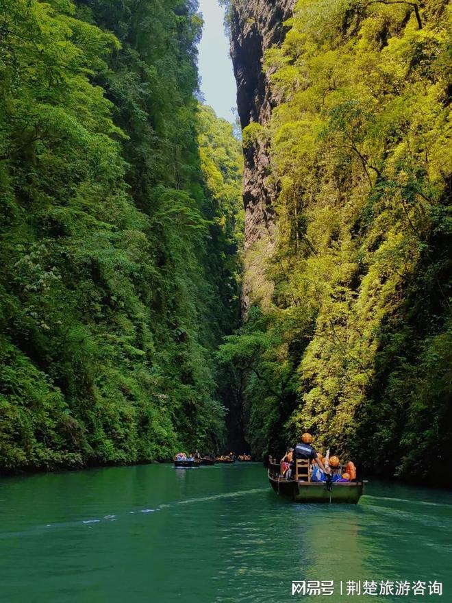 信誉高 + 实力强靠谱推荐不踩坑！j9平