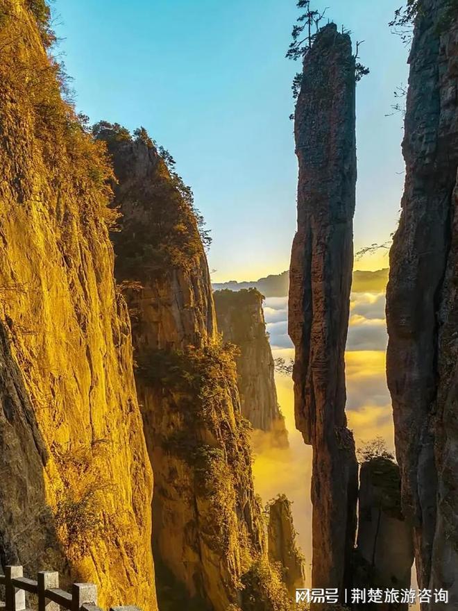 信誉高 + 实力强靠谱推荐不踩坑！j9平台2025 武汉旅行社十佳！(图5)